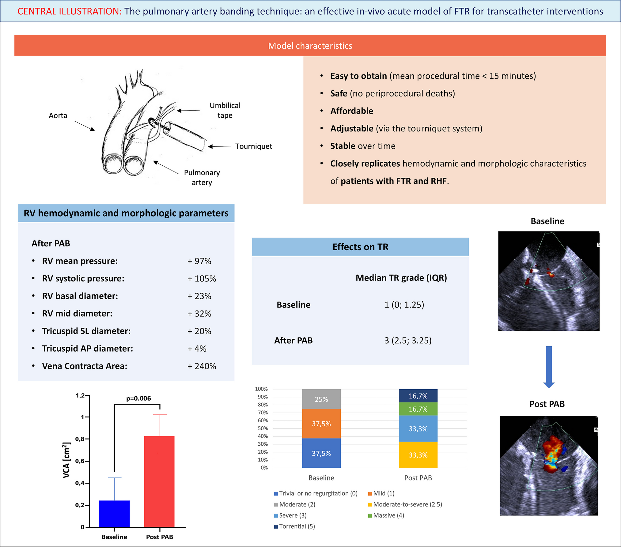 Pulmonary Artery Banding: an Effective in-vivo Acute Model of Functional Tricuspid Regurgitation for Transcatheter Interventions