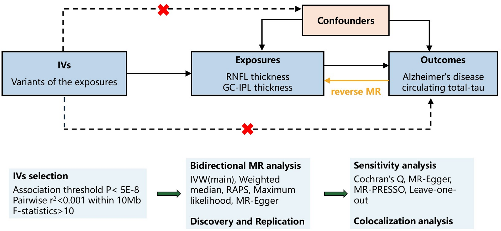 Evaluating causal links between retinal thickness, Alzheimer’s disease, and circulating total-tau: evidence from Mendelian randomization and colocalization analysis