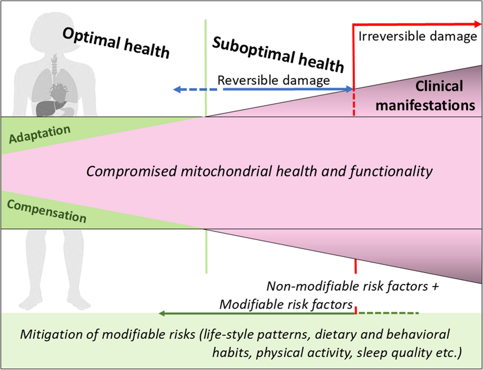 Innovative mitochondria-based holistic 3PM approach to female health status: Facts and outlook