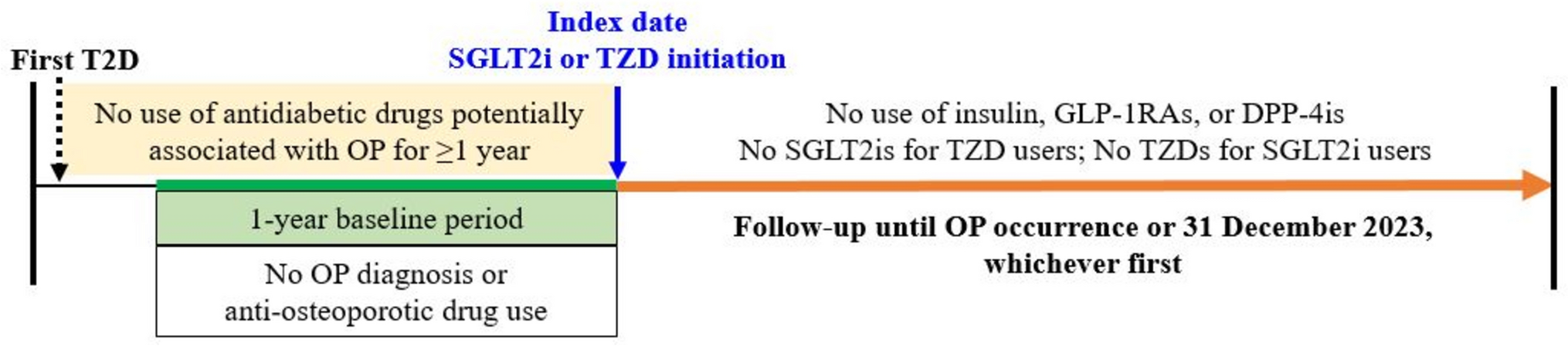 Osteoporosis risk with sodium–glucose cotransporter 2 inhibitors versus thiazolidinediones in older women with diabetes