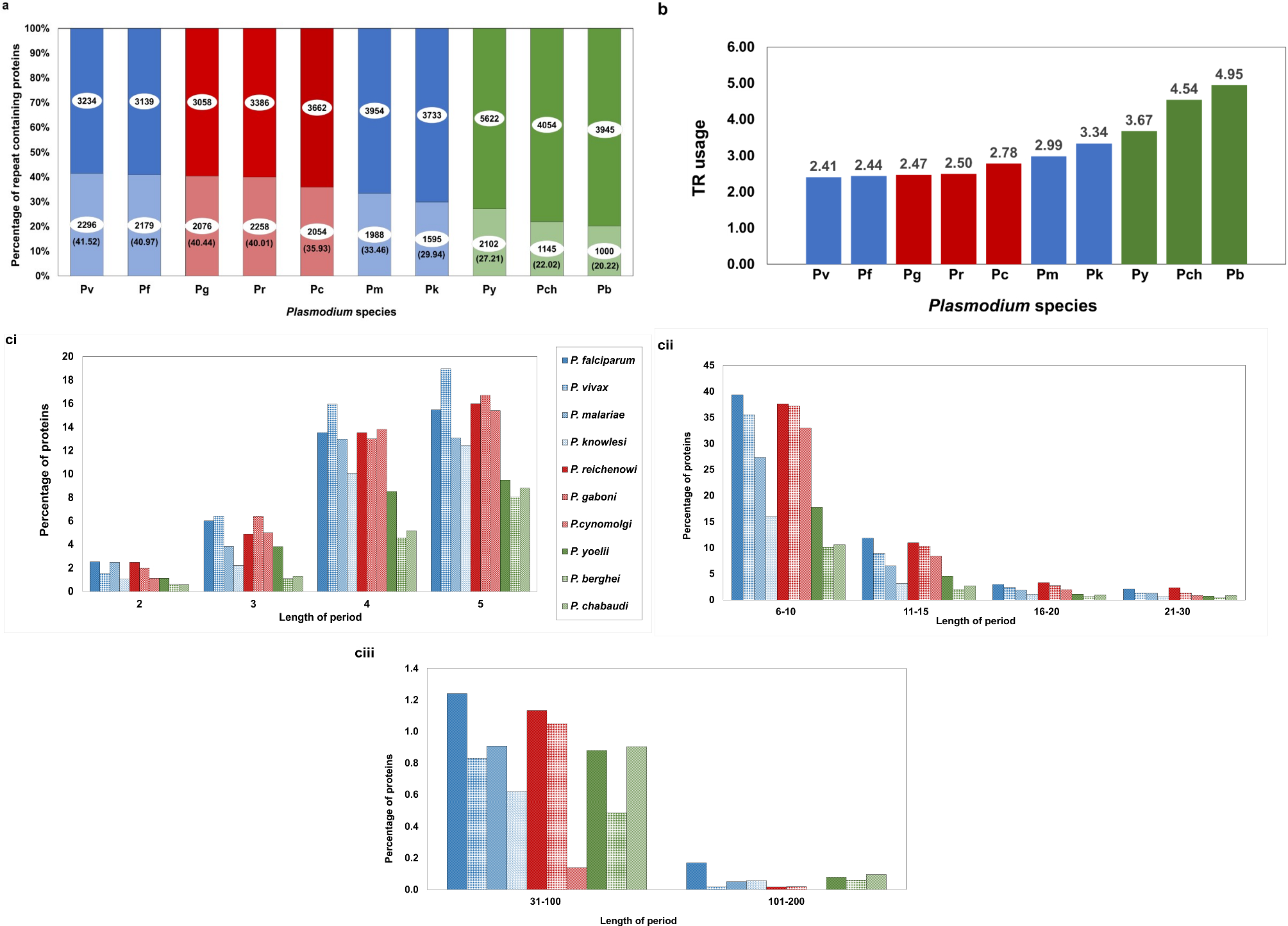 Structural and functional insights from detailed computational analysis of  repetome