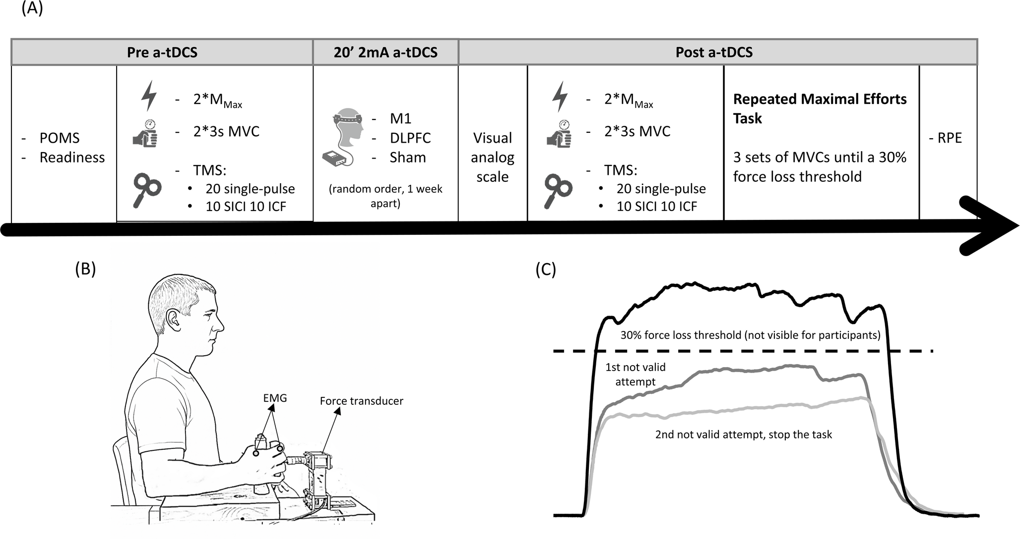 Acute effects of anodal transcranial direct current stimulation on maximal voluntary force, repeated maximal isometric contractions and corticospinal excitability in healthy young adults