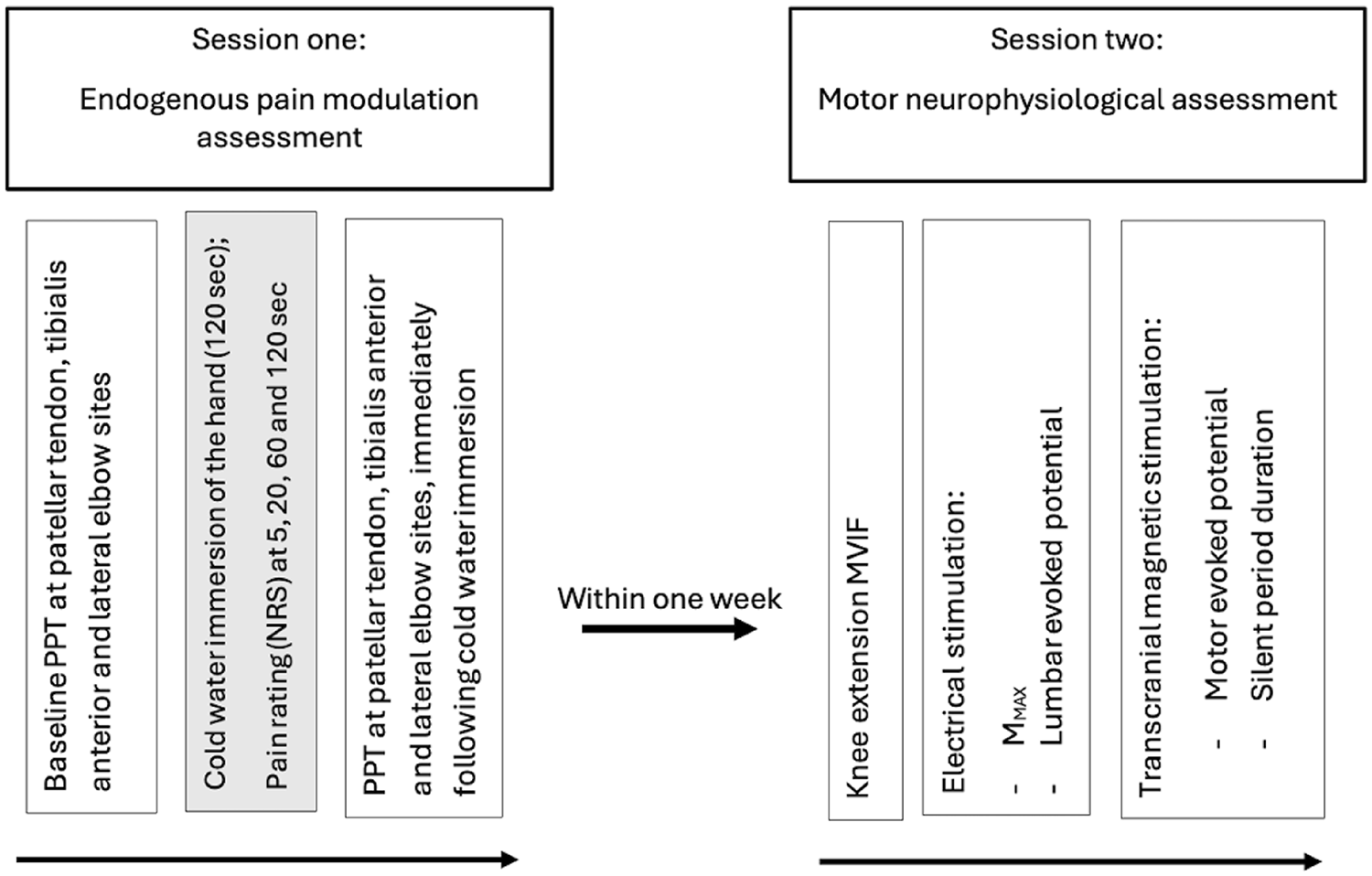 Greater endogenous pain facilitation is associated with lower spinal excitability and maximal knee extension strength deficits in athletes with patellar tendinopathy