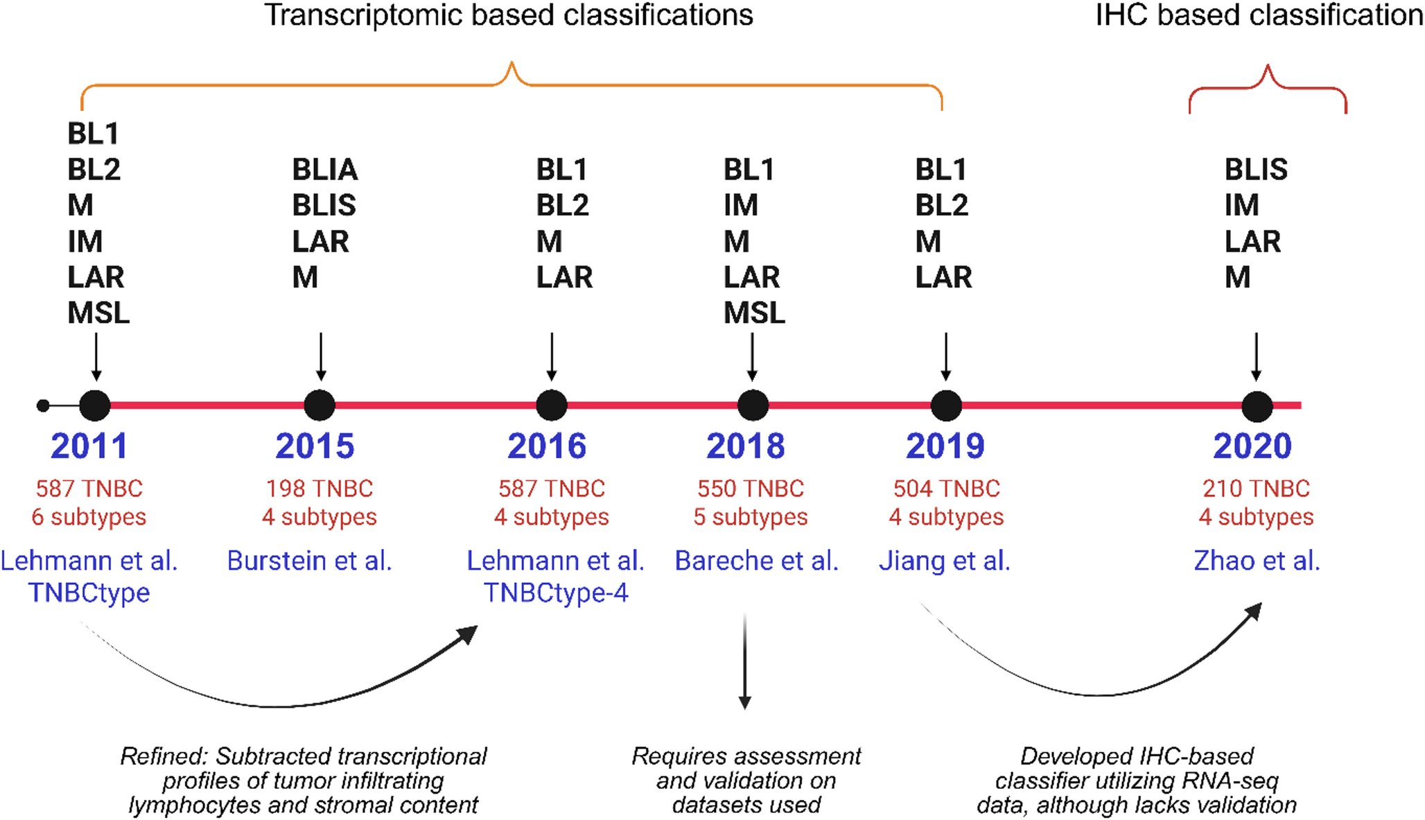 BRCA1: An Unrecognized Modulator of Lineage Plasticity in Basal-like Breast Cancer