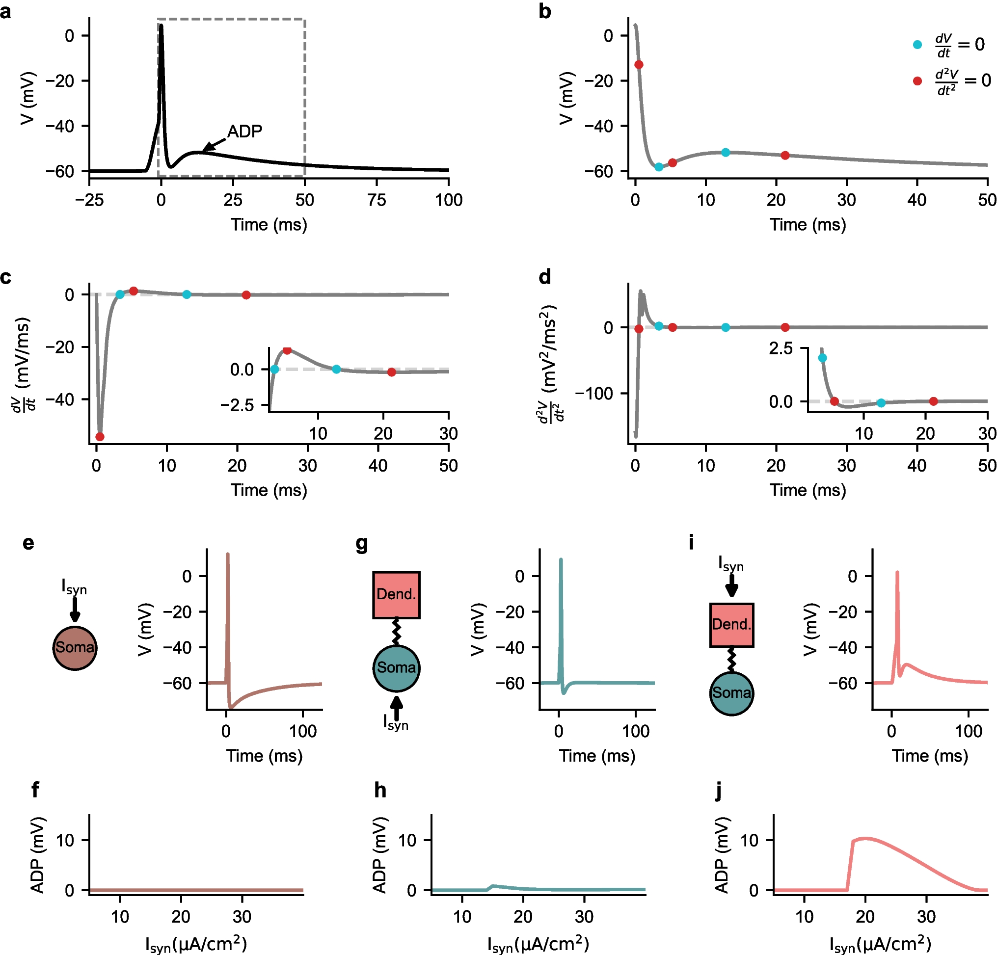 Dendritic interaction of timescales in afterdepolarization potentials and nonmonotonic spike-adding