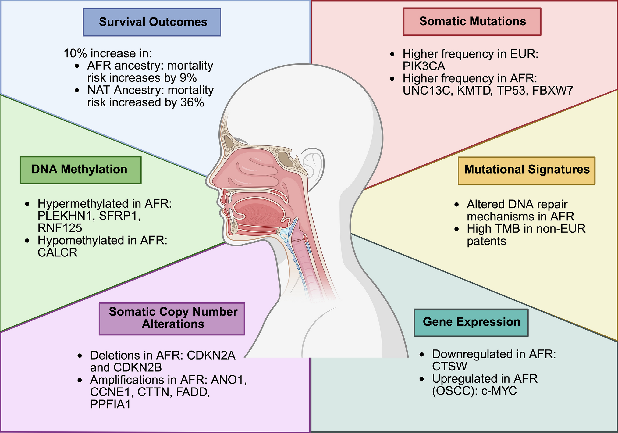 The impact of genomic ancestry on tumor genomics in head and neck squamous cell carcinoma