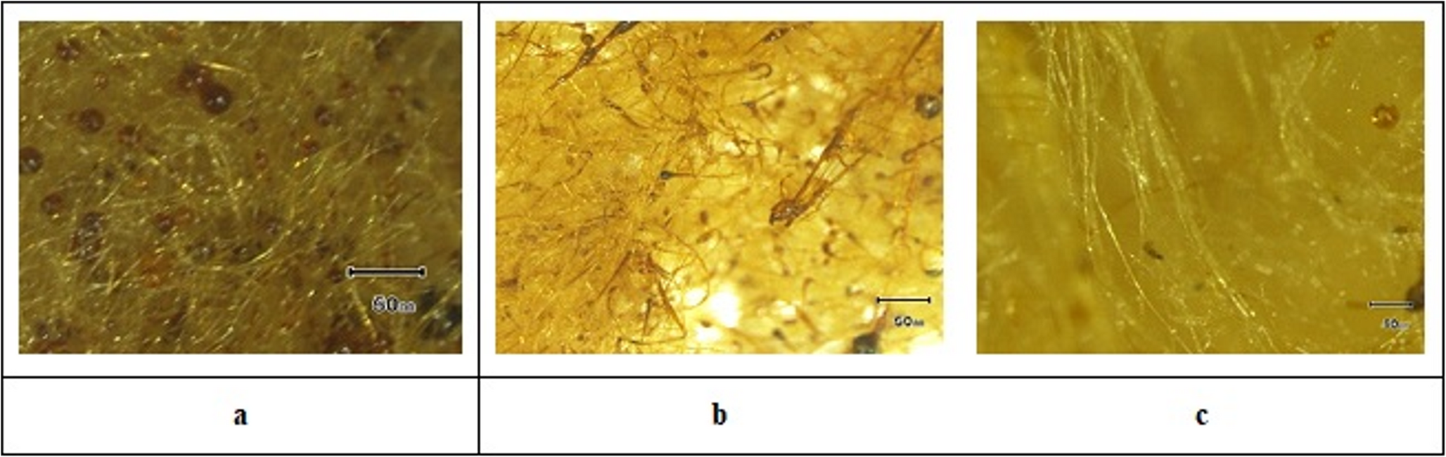 Fabrication of Centrifugally Spun Microfibers for Quick Release of Flurbiprofen; a Characterization and Process Optimization Study