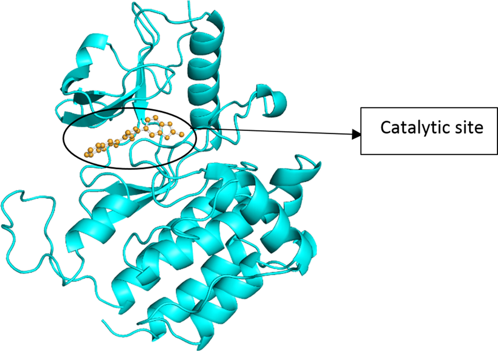 Machine Learning-guided Virtual Screening and Molecular Dynamics Simulations for Identifying Potent FGFR1 Inhibitors as Anti-neoplastic Agents