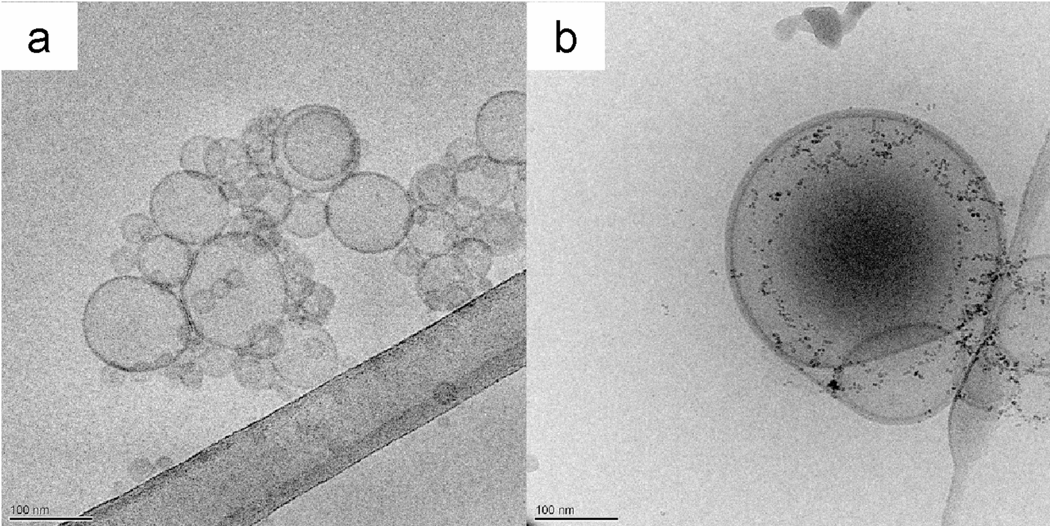 Supramolecular nanosystems for rutin topical application