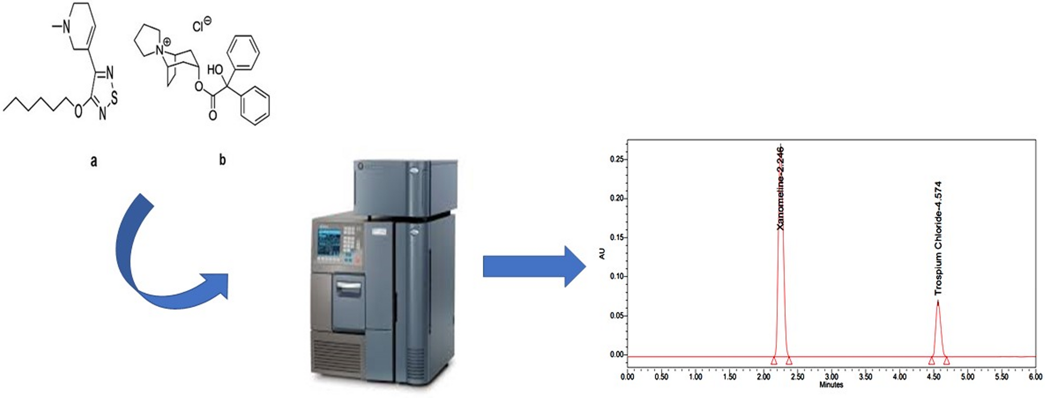 A New Validated Stability Indicating RP-HPLC Method for the Simultaneous Estimation of Xanomeline and Trospium Chloride in Bulk and in its Pharmaceutical Formulation