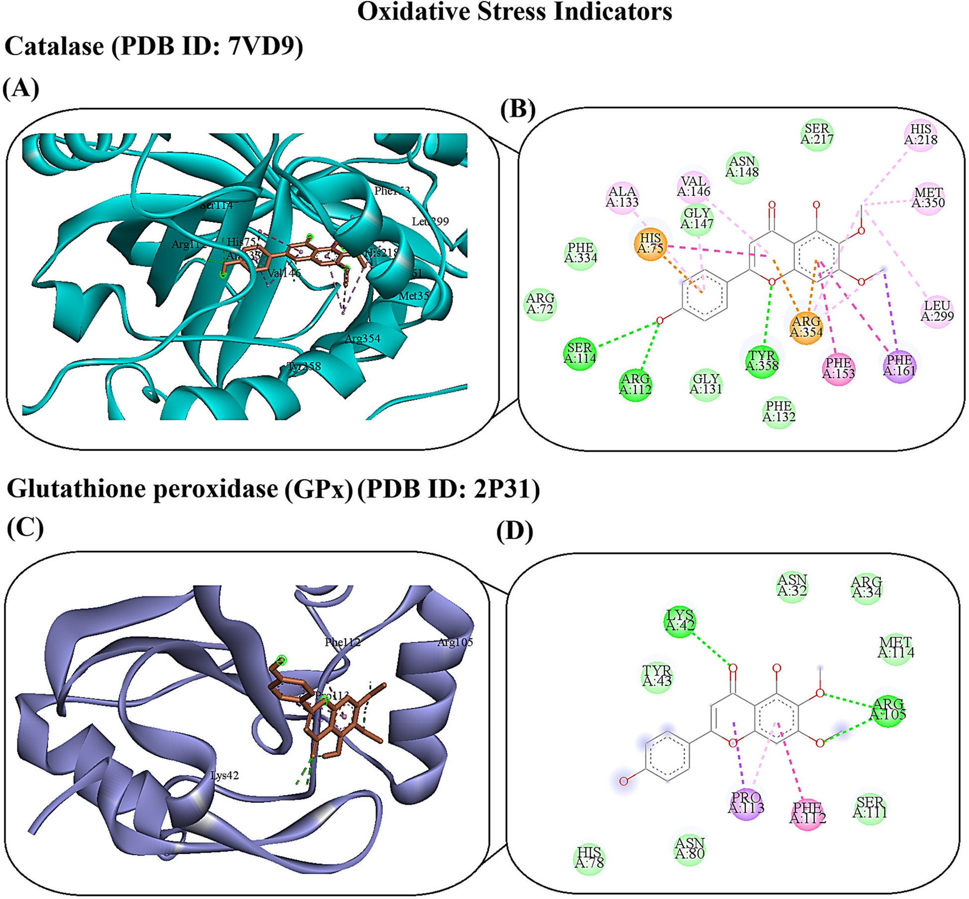 Evaluation of the Neuroprotective Efficacies and Related Mechanisms of Cirsimaritin in MPTP-Induced Parkinson in Mice with Following the Molecular Docking Studies