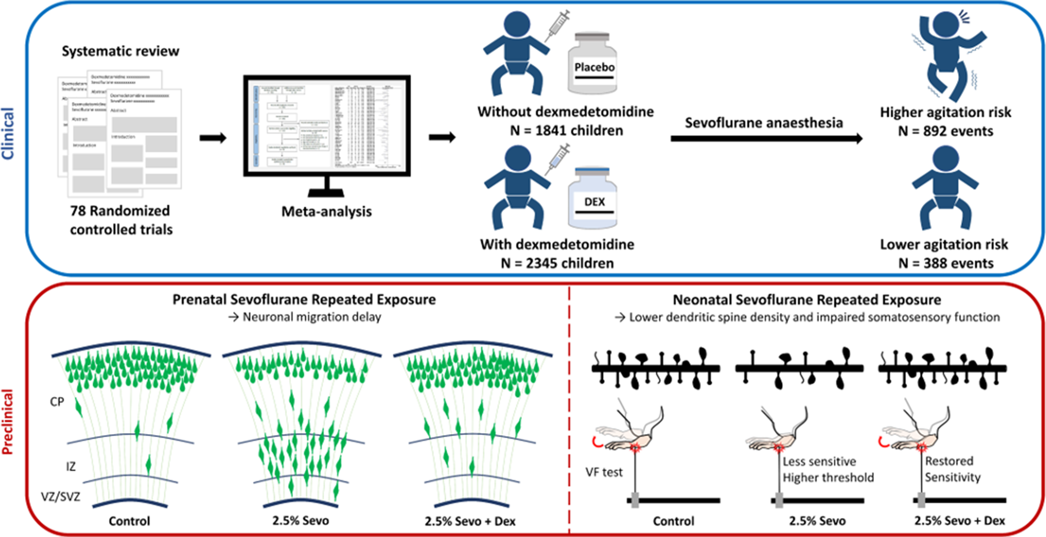 Dexmedetomidine Mitigates Sevoflurane-Induced Neurodevelopmental Effects in Paediatric Anaesthesia: A Meta-Analysis and Preclinical Study