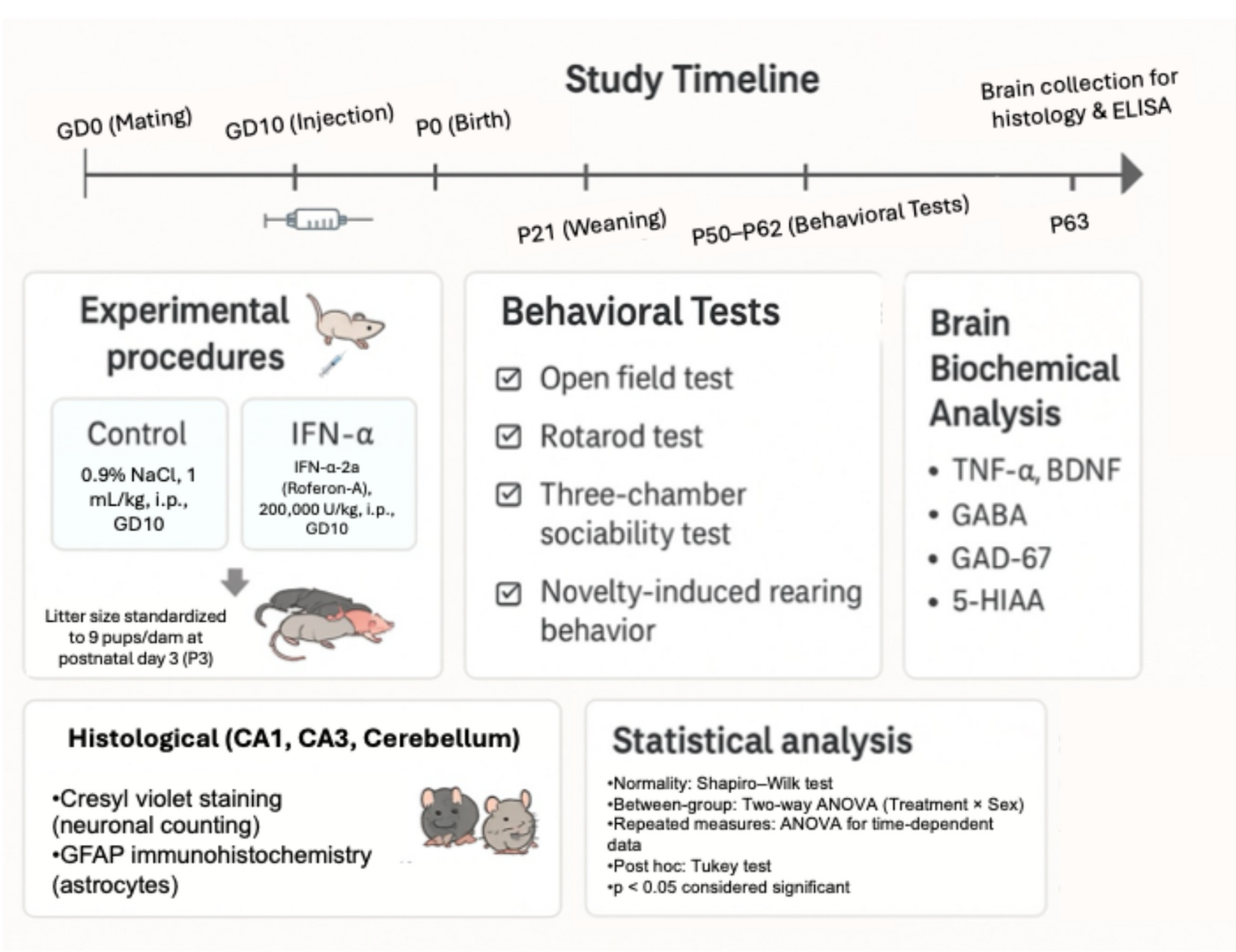 Prenatal Interferon-Alpha Exposure Induces Autism-Like Neurobehavioral and Neurochemical Alterations in Male Offspring