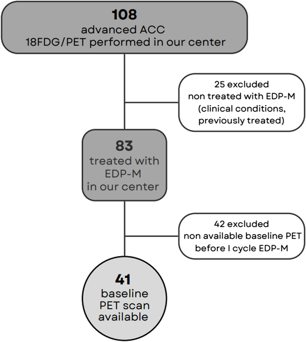 Prognostic role of pretreatment [F]FDG PET/CT in patients affected by adrenocortical carcinoma and treated with chemotherapy
