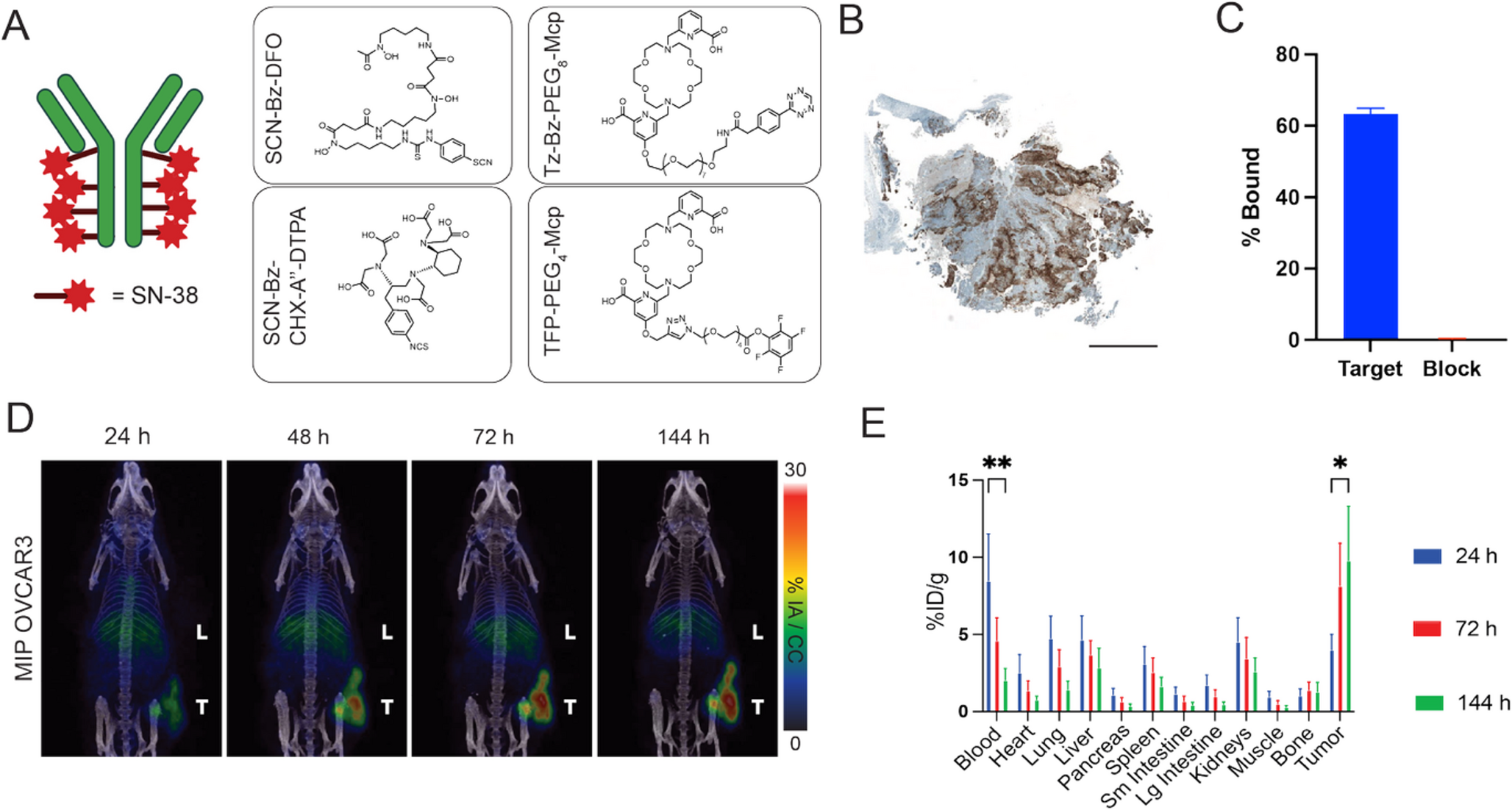 Minimal chemical modification enables alpha/beta radiolabeling of sacituzumab govitecan for targeted therapy in high grade serous ovarian cancer