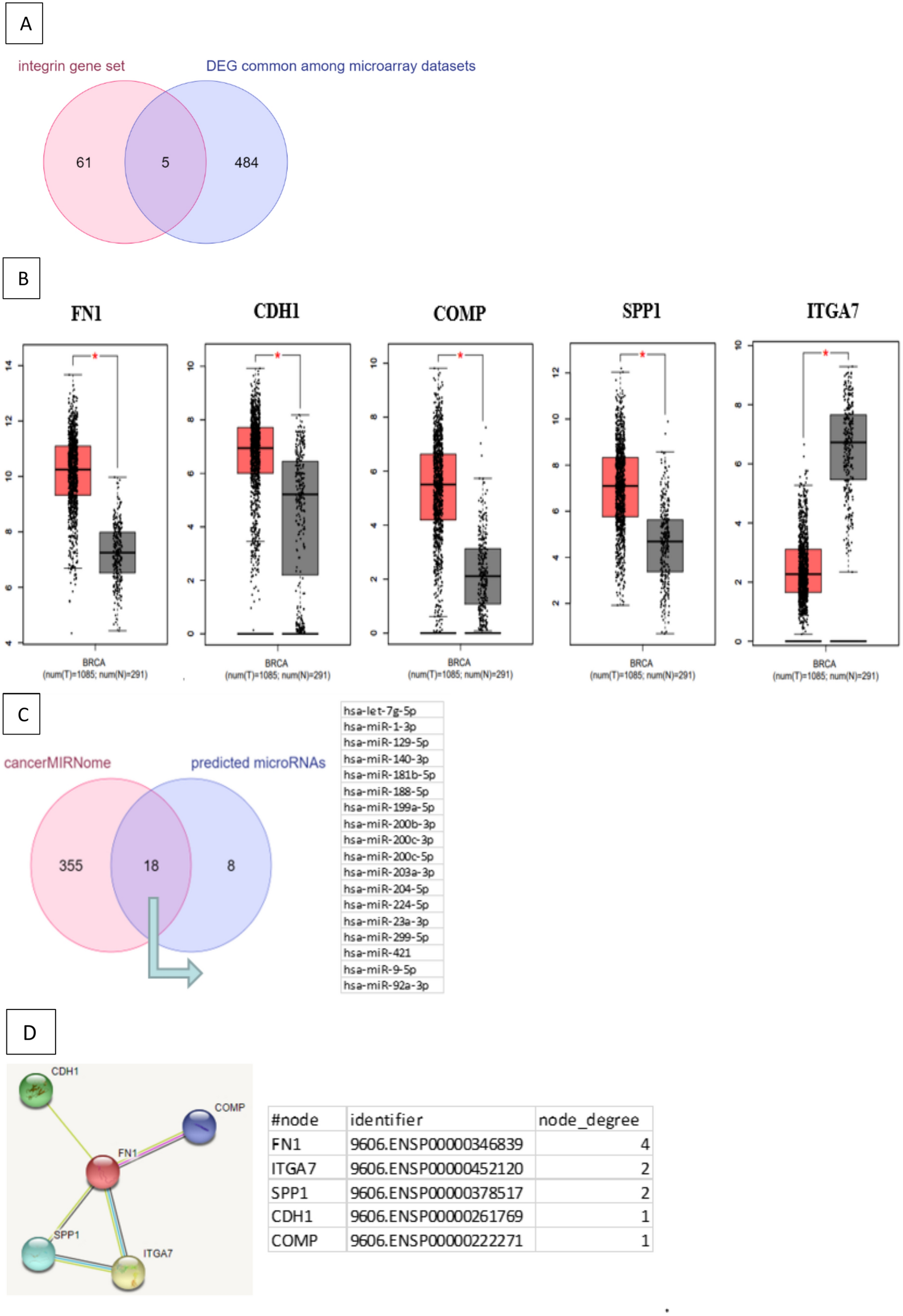 FN1 as a key gene in modulating the integrin cell surface pathway in breast cancer
