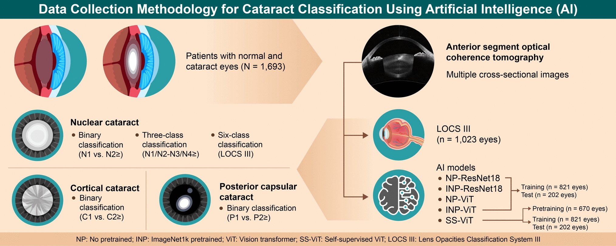 Advancement of cataract classification with artificial intelligence using anterior segment optical coherence tomography images with self-supervised vision transformer