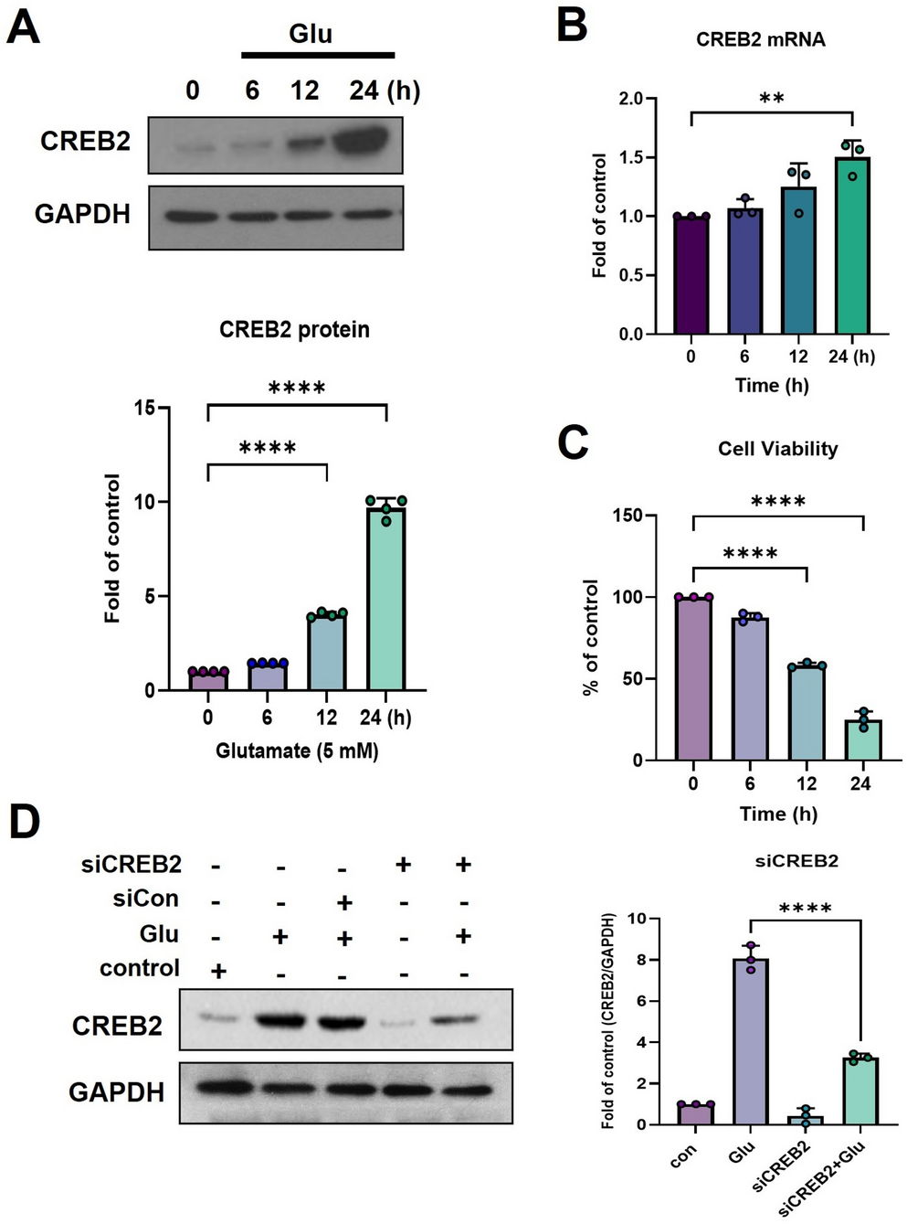 CREB2 Functions as a Central Mediator of Oxidative Neuronal Death Triggered by Microglial Glutamate Release Under Neuroinflammatory Conditions