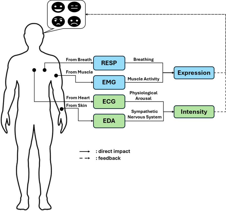 MSER: an emotion recognition method based on multi-signal information fusion