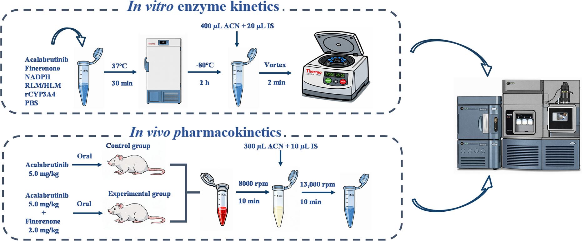 Inhibition of acalabrutinib metabolism by finerenone and its molecular docking studies