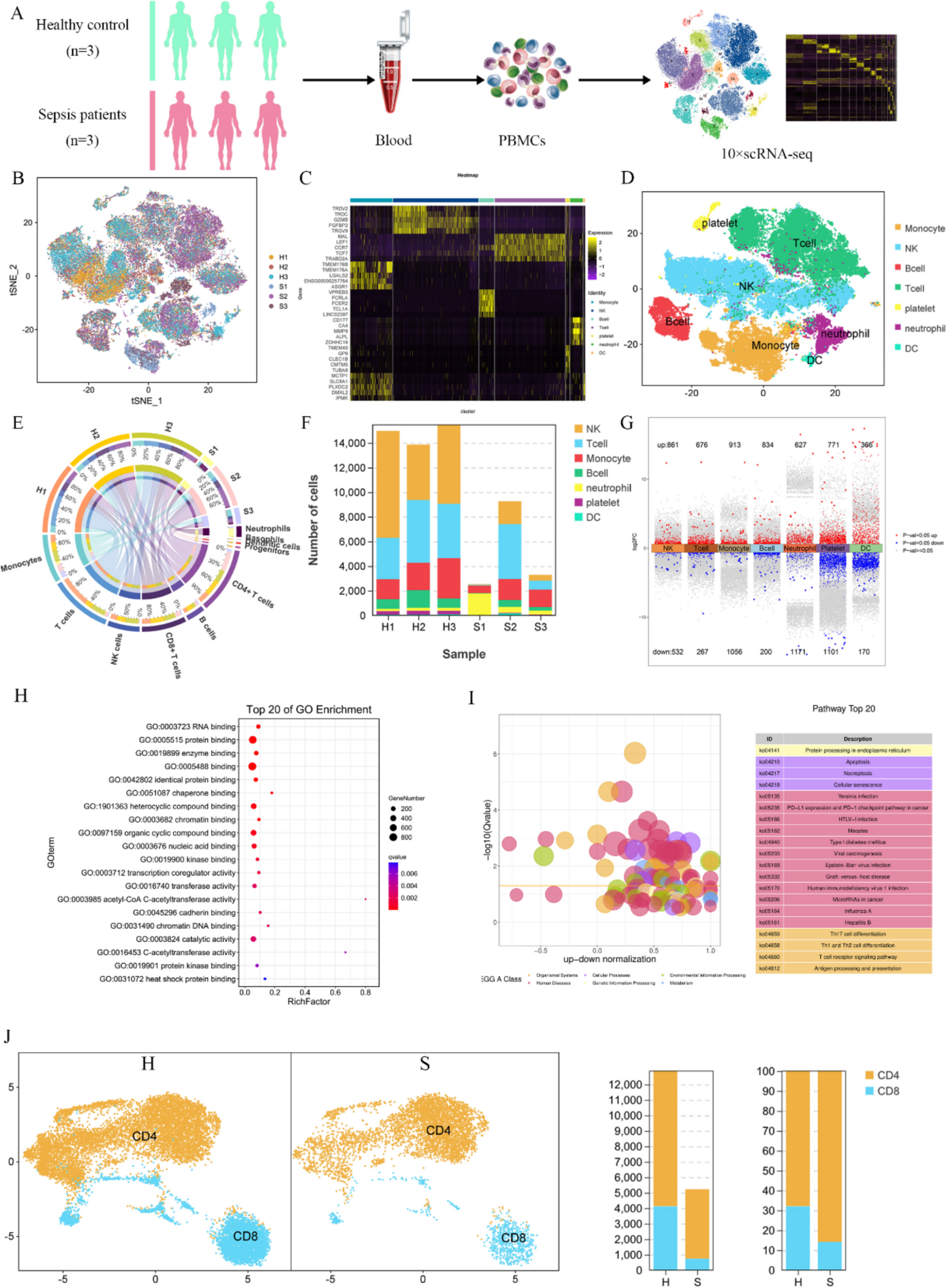 Single-cell RNA-Seq reveals transcriptional heterogeneity in sepsis and down-regulation of SNHG5/miR-324-5p/CDK16 axis in T cells