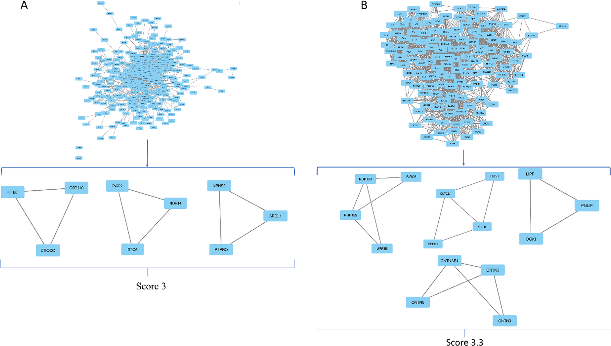 Network-Based Prioritization of Network-Peripheral Gene Modules in Autism Spectrum Disorder Using Integrative Transcriptomic and Proteomic Data
