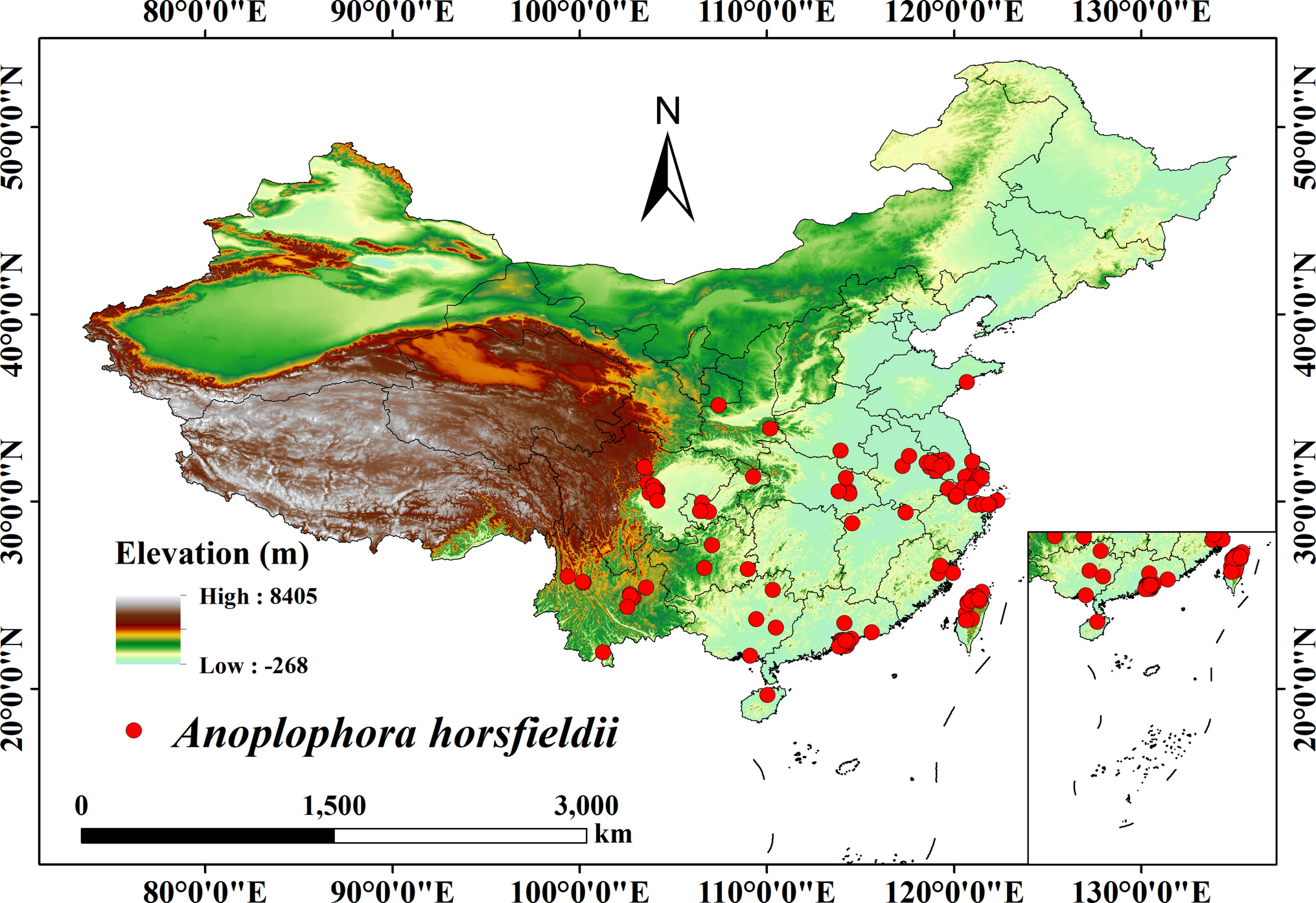 Climate Change Enhances the Spread and Threat of  (Hope, 1843) in China