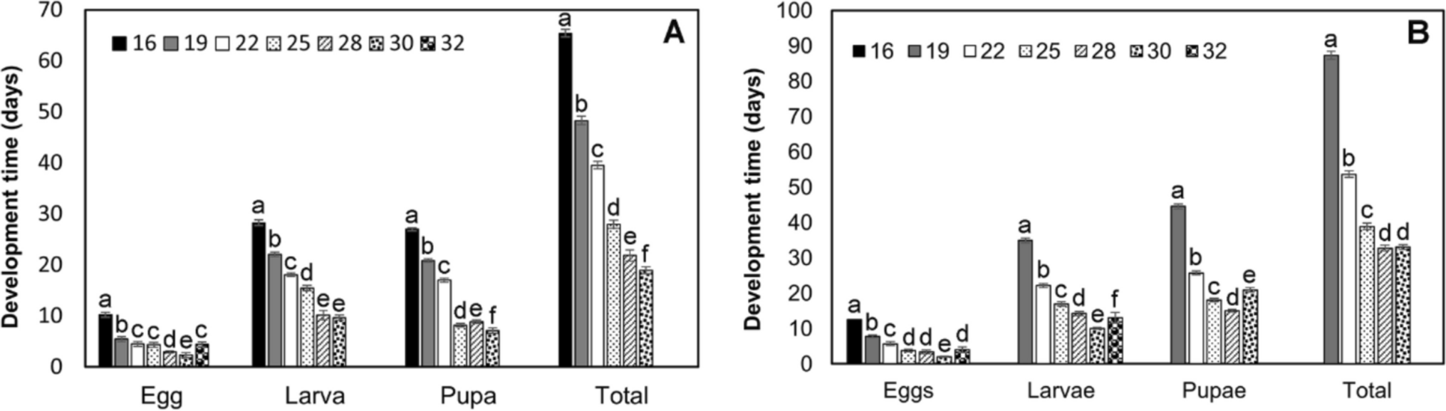 Temperature Effects on Development and Population Growth of Two Parasitoids (Hymenoptera) of the Coffee Berry Borer ()