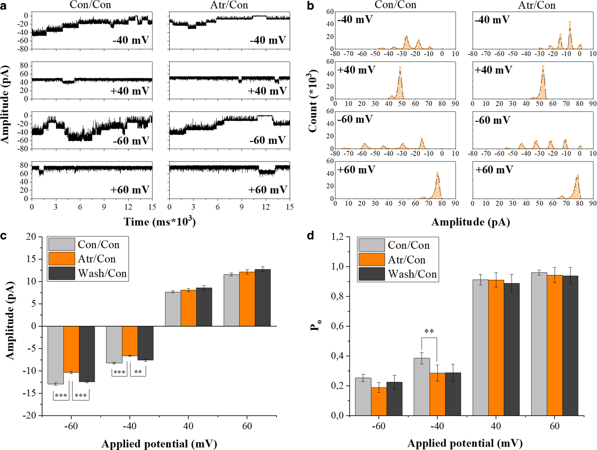 Effects of atropine on the electrophysiological properties of LCC-channels of the nuclear membrane of Purkinje neurons