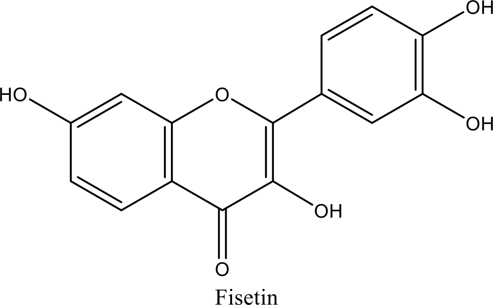 Fisetin as a neuroprotective agent: Docking-based modulation of dopaminergic and inflammatory pathways in Parkinson’s disease