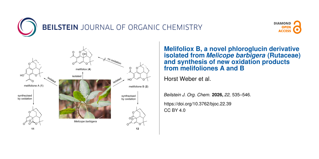Melifoliox B, a novel phloroglucin derivative isolated from Melicope barbigera (Rutaceae) and synthesis of new oxidation products from melifoliones A and B