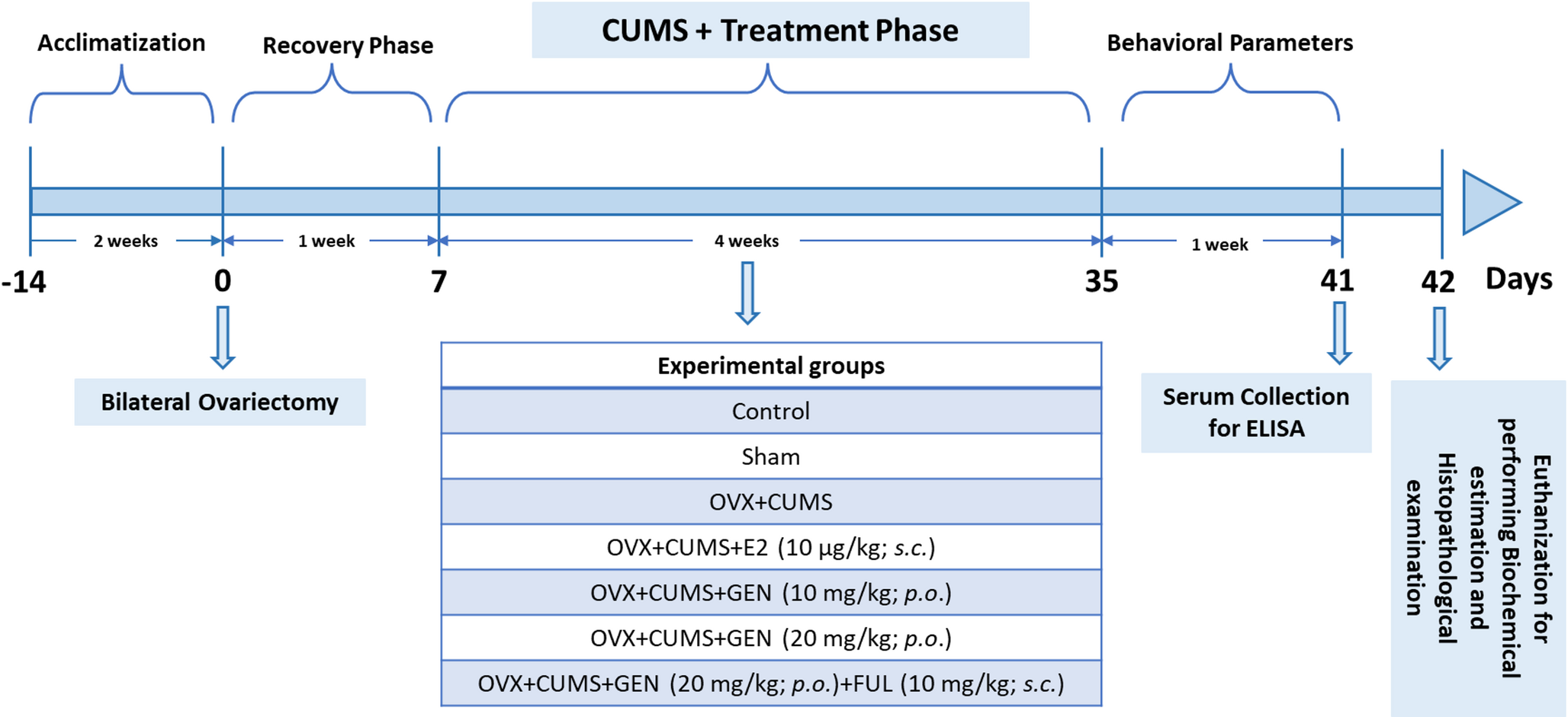 Genistein mitigates estrogen deficiency and chronic stress-induced neuronal dysfunction via targeting ER-β, oxidative stress, inflammation, and apoptosis