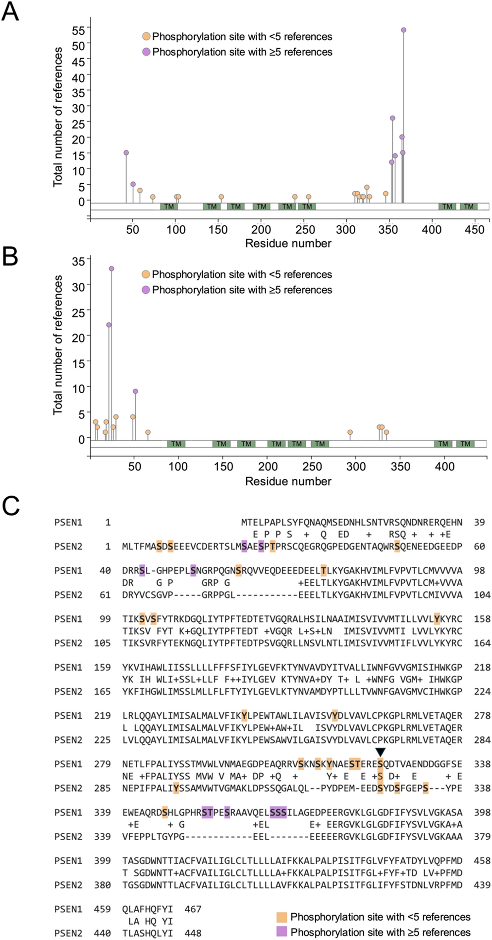 In Silico Phosphoproteomic Analysis Reveals Divergent Regulation of Presenilin 1 and Presenilin 2