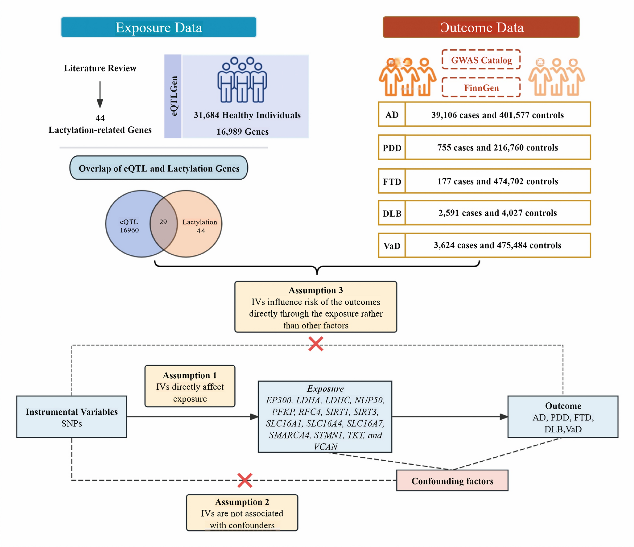 Genetic Evidence Linking Lactylation-Related Gene Expression To Dementia Risk
