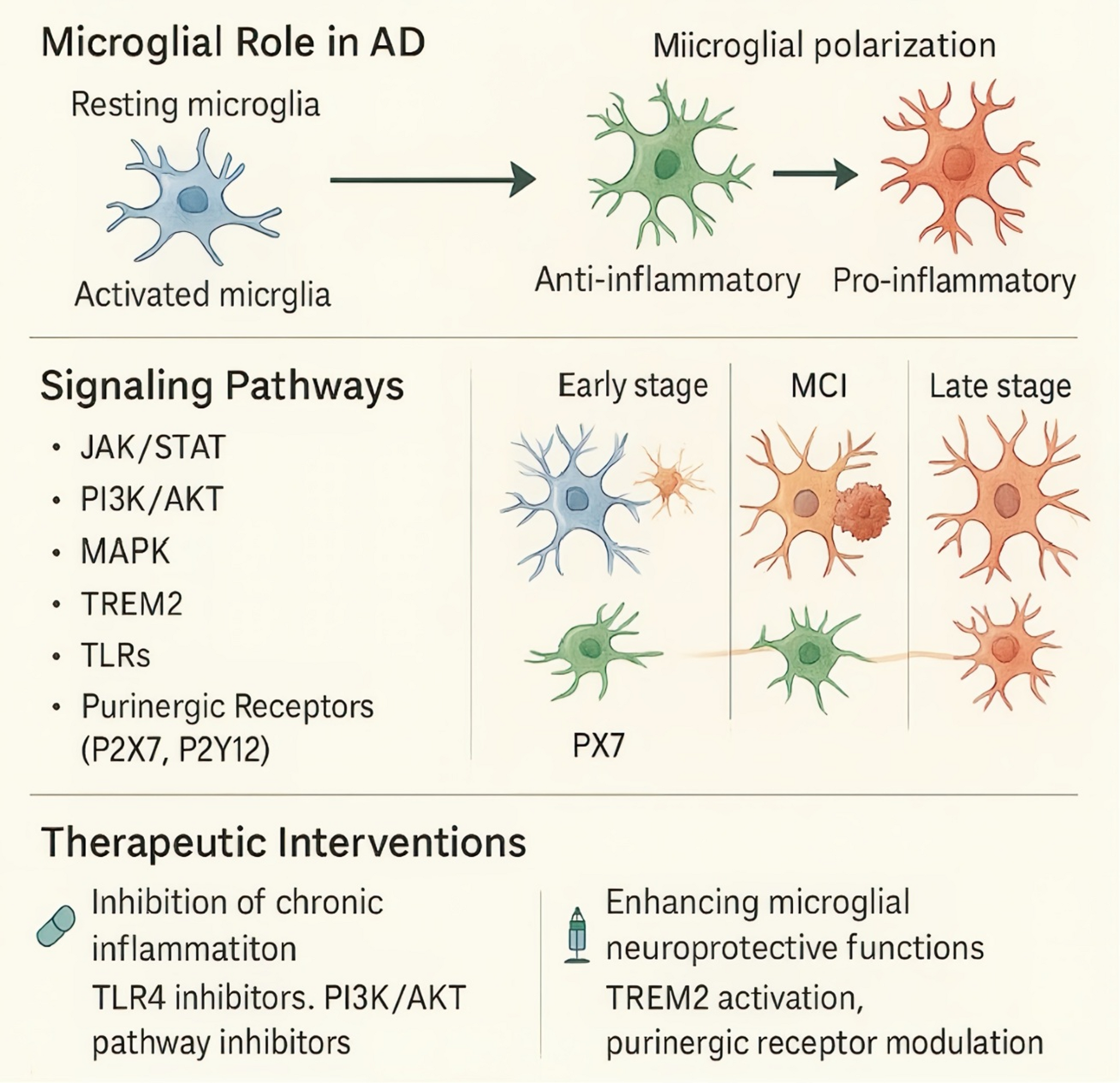 Targeting Microglial Activation to Modulate Neuroinflammation in Alzheimer’s Disease