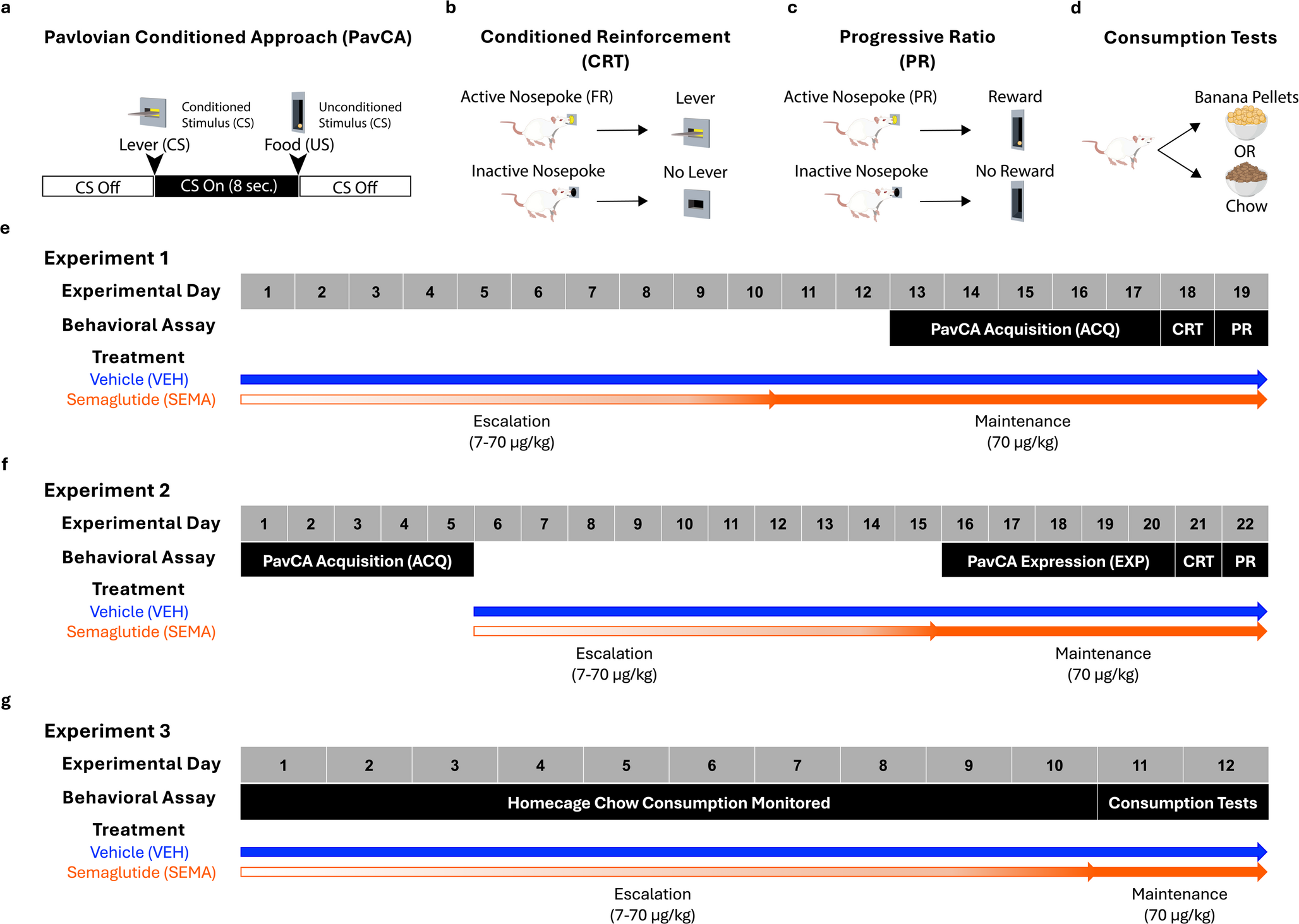 Chronic semaglutide treatment enhances the incentive motivational value of a small food reward and associated cue in male and female rats