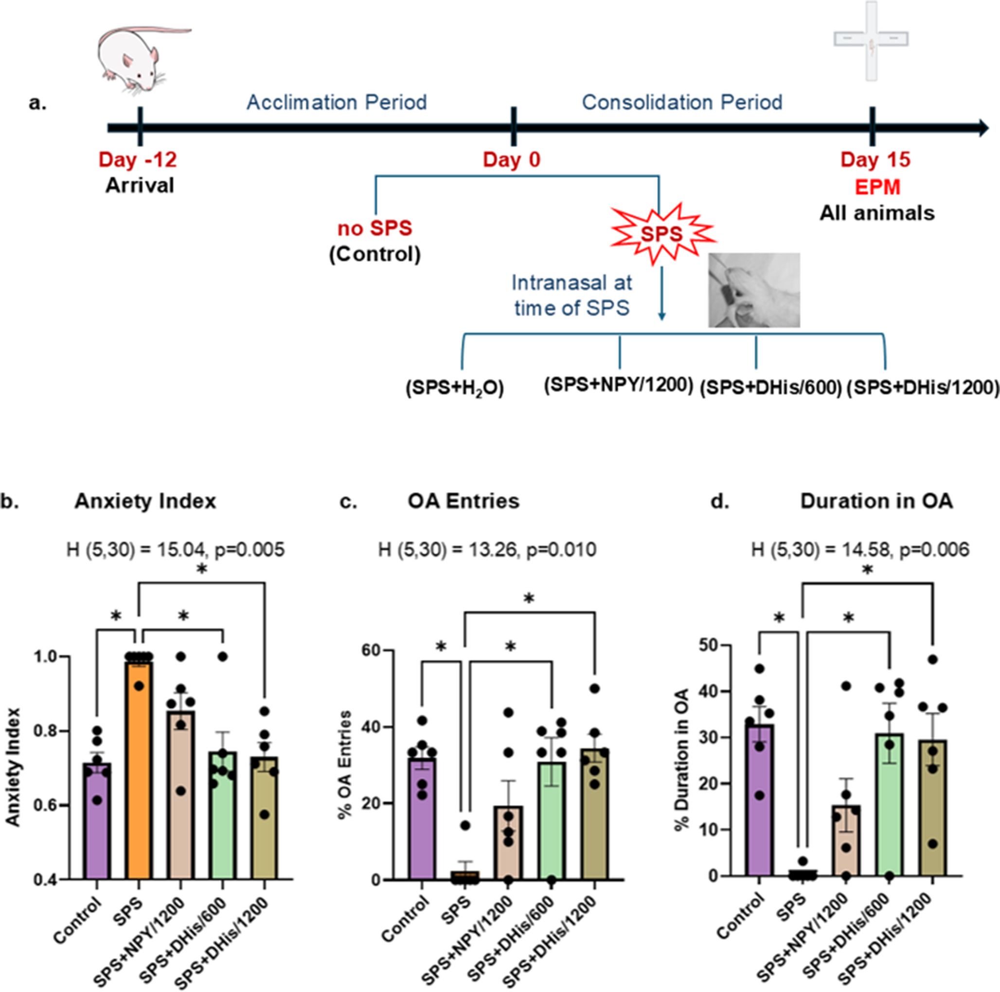 D[His]NPY, an agonist of NPY receptor 1, averts traumatic stress-induced behavioral deficits in male and female rats