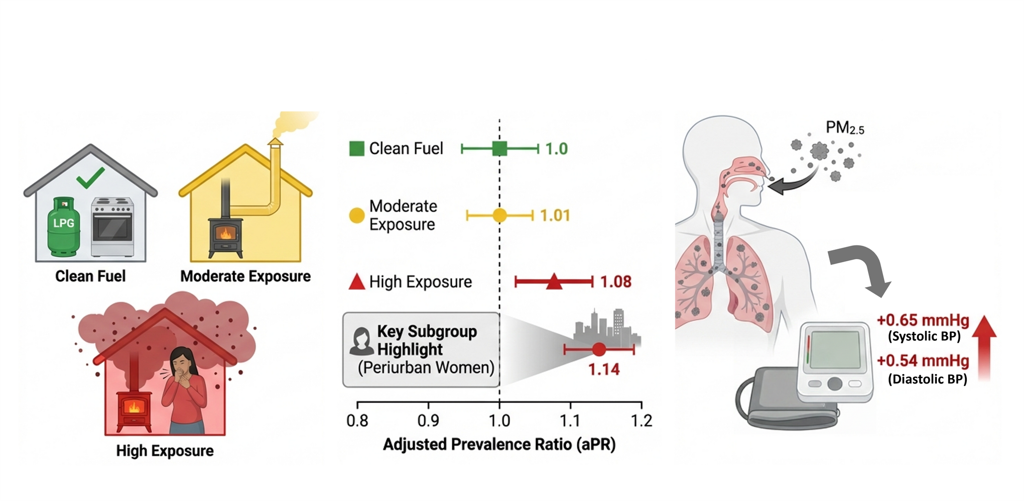 Association Between the Use of Solid Fuels in Households and Hypertension in Peru: A Population-Based Analysis