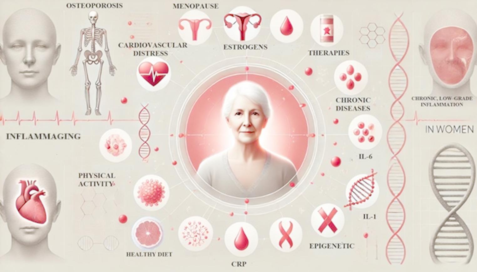 Inflammaging and Cardiovascular Risk in Old Women