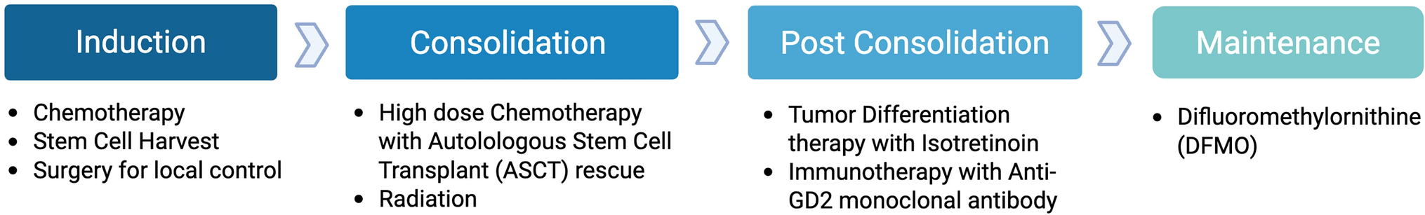 Established and Emerging Therapies for High-Risk Neuroblastoma
