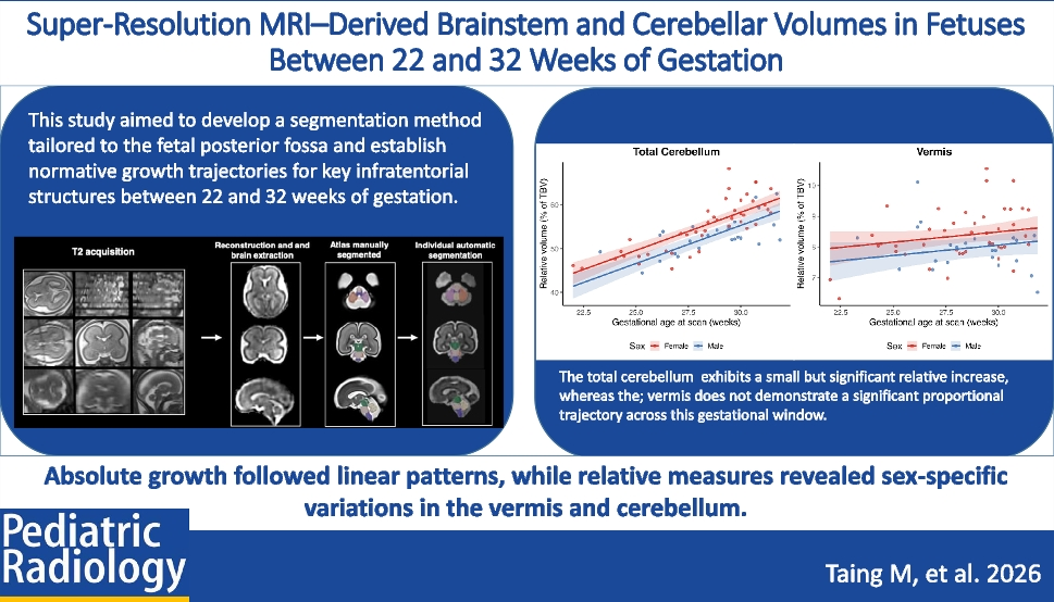 Super-resolution MRI–derived brainstem and cerebellar volumes in fetuses between 22 weeks and 32 weeks of gestation