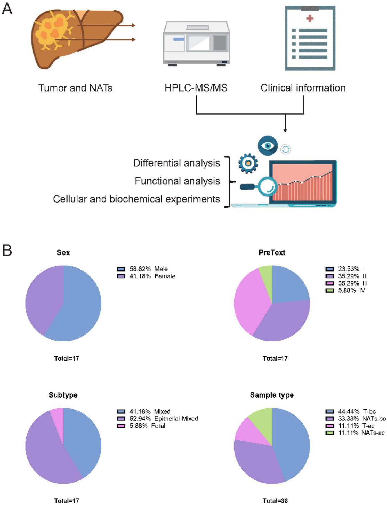 Proteomic analysis reveals the pro-proliferative role of the LIN28B/HMGA2 axis in hepatoblastoma