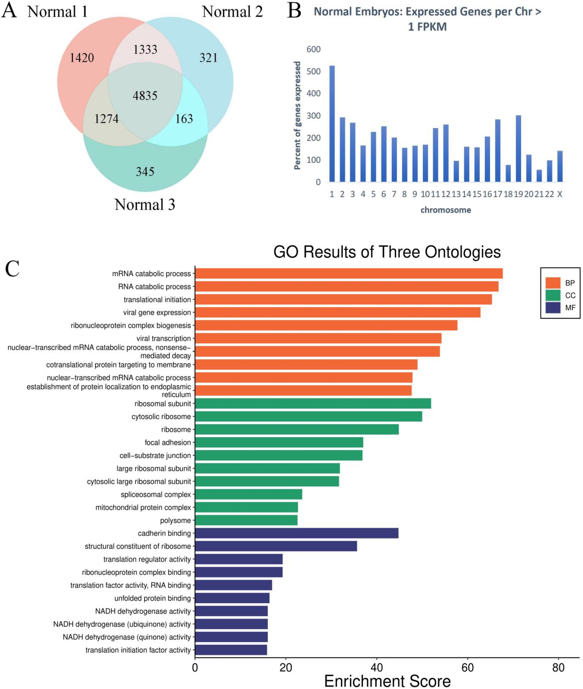 Abnormal Endocytosis Resulting from Imbalanced Proteomic Doses in Human Aneuploid Embryos