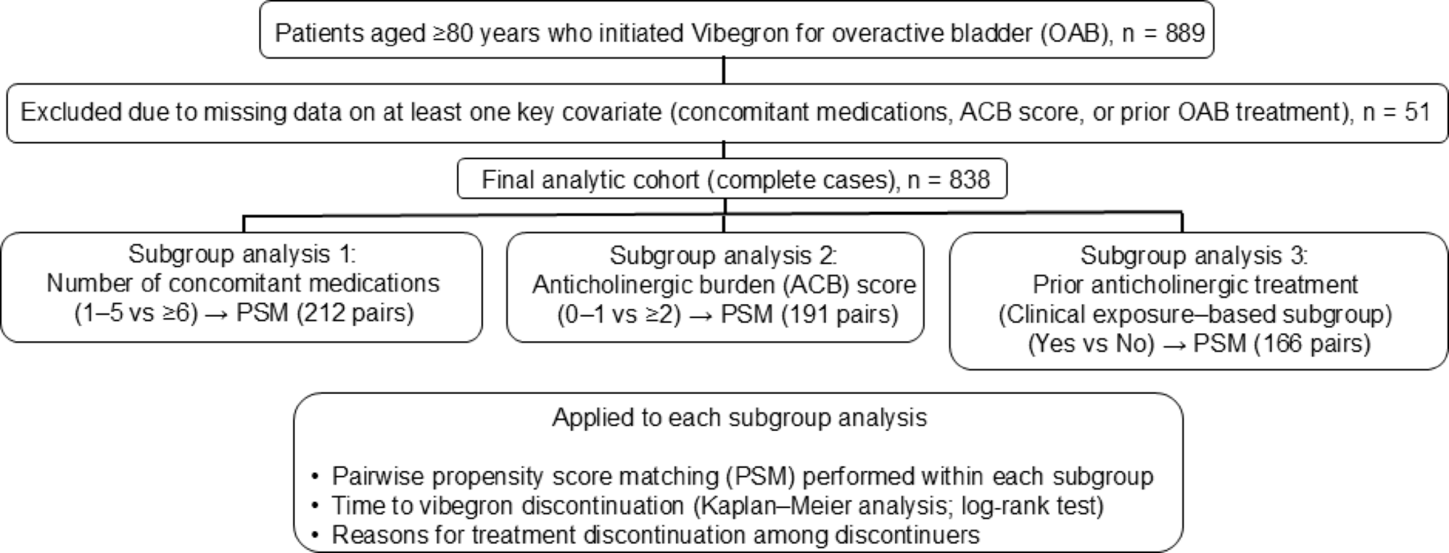 Real-world persistence of vibegron in patients aged ≥ 80 years with overactive bladder: a multicenter cohort study