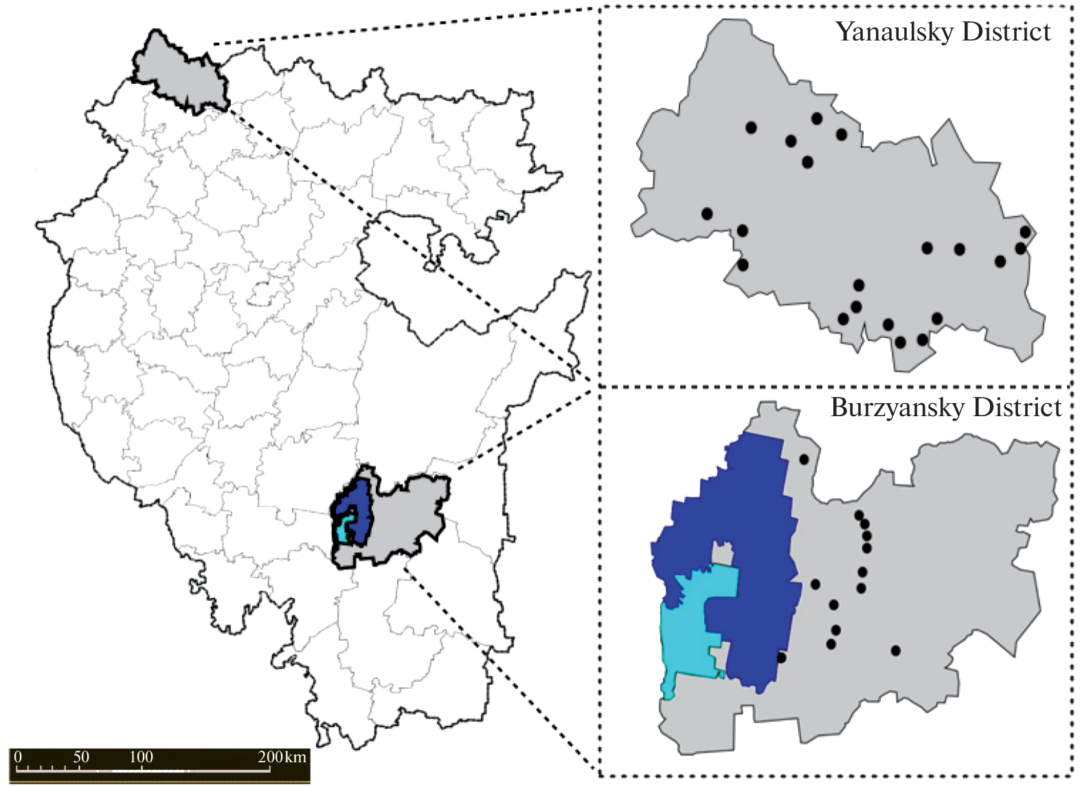 Genetic State of Unprotected and Protected  Linnaeus, 1758 Population in Bashkortostan