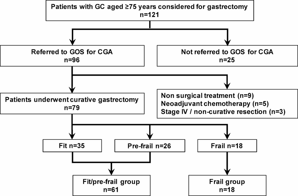 Frailty assessed by comprehensive geriatric assessment and postoperative outcomes of older adults undergoing gastrectomy for gastric cancer