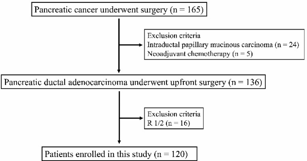 Preoperative low C-reactive protein–albumin–lymphocyte (CALLY) index is a poor prognostic indicator for overall survival in patients undergoing surgery for pancreatic ductal adenocarcinoma
