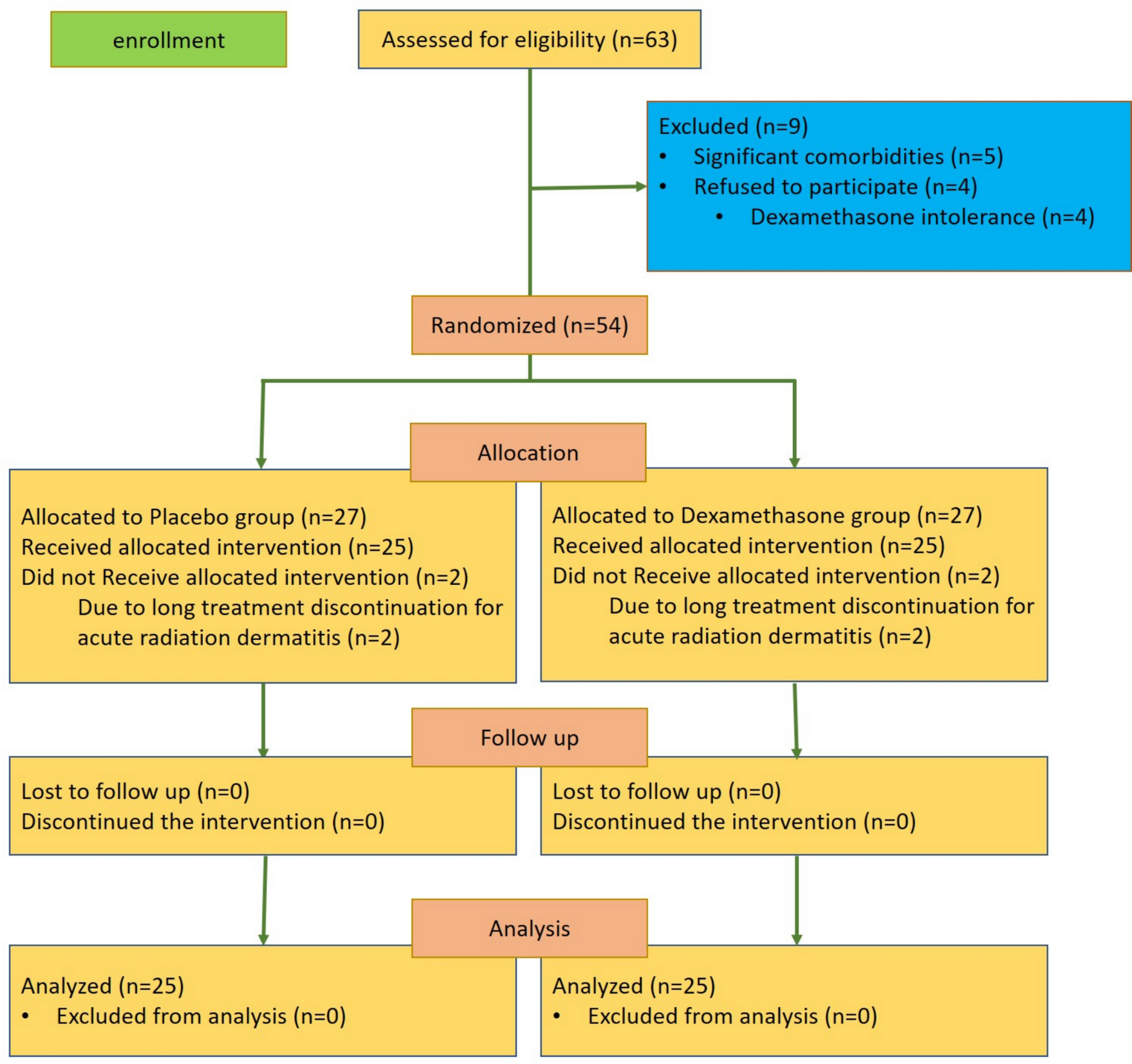 Preventive effects of dexamethasone oral solution on radiation-induced mucositis in patients with head and neck cancer: a randomized, triple-blind, parallel-group trial