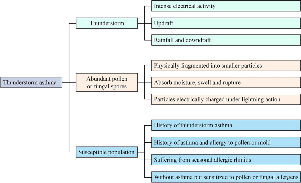 Climate change and thunderstorm asthma in children: challenges and responses