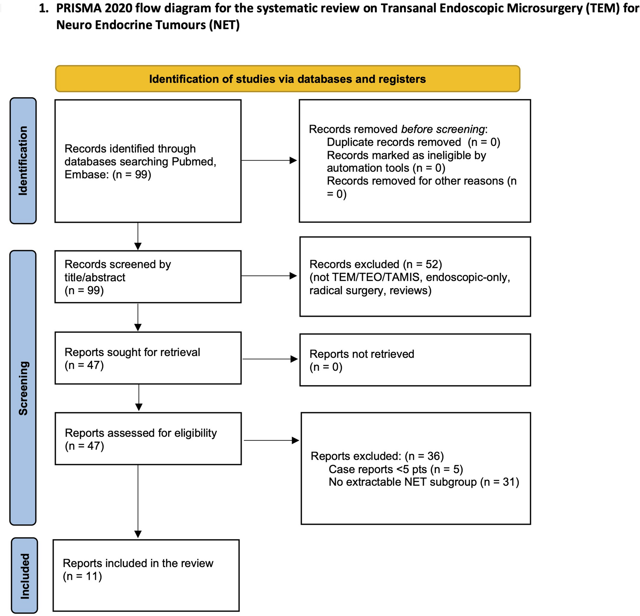 Rigid-platform transanal excision (TEM/TEO/TAMIS) for rectal neuroendocrine tumours: a single-centre TEM/TEO series and systematic review